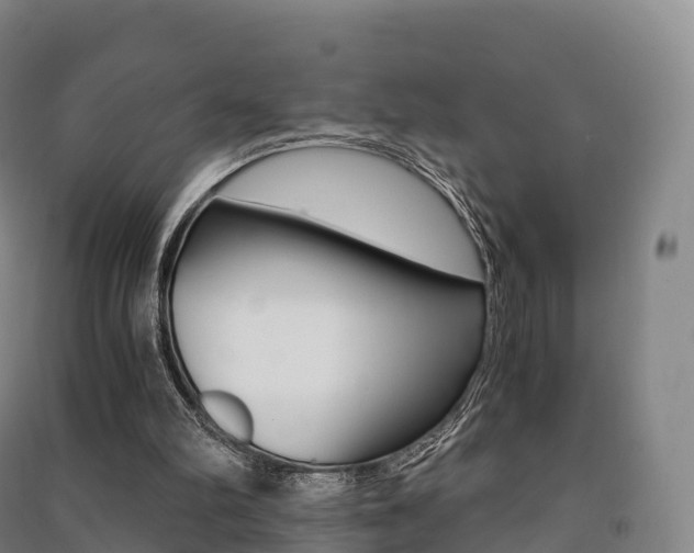X0000091480102200708161156