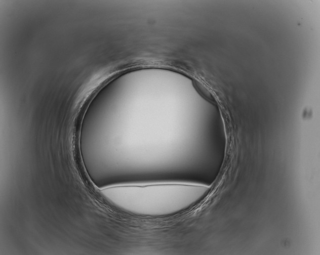 X0000091480103200708161156