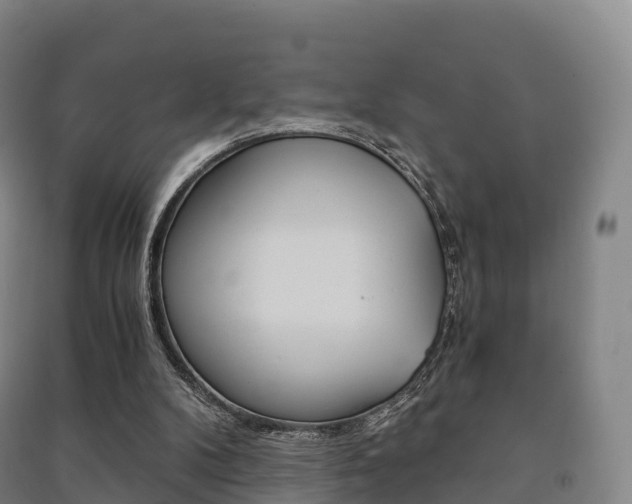 X0000091480104200708161156