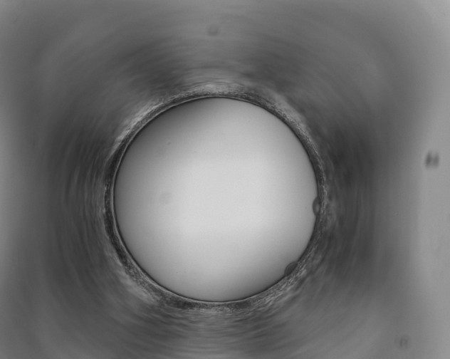 X0000091480106200708161156