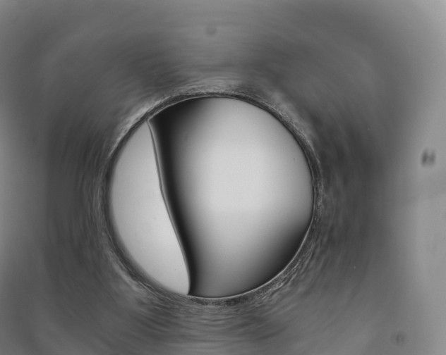 X0000091480107200708161156