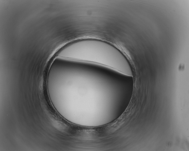 X0000091480108200708161156