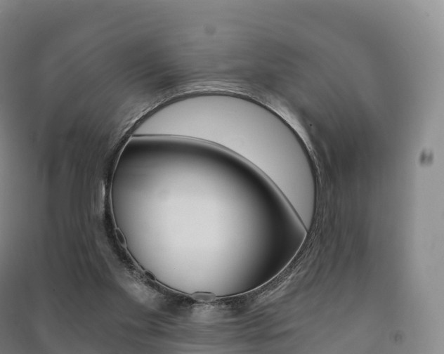 X0000091480109200708161156