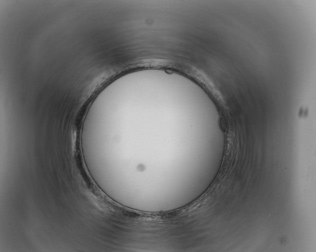 X0000091480110200708161156