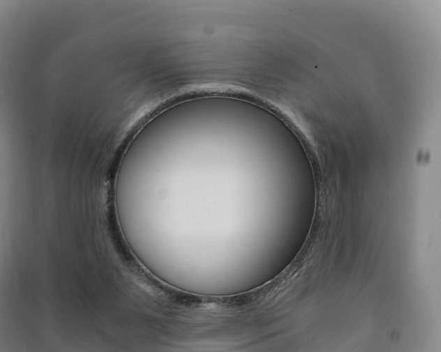 X0000091480111200708161156