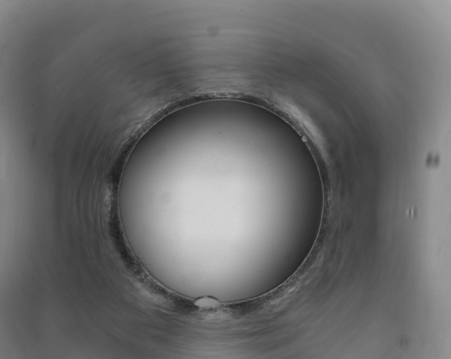 X0000091480113200708161156