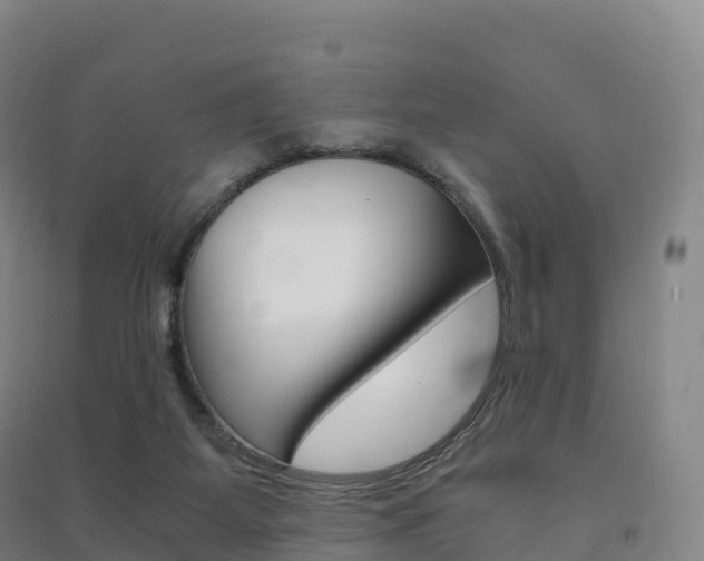 X0000091480115200708161156