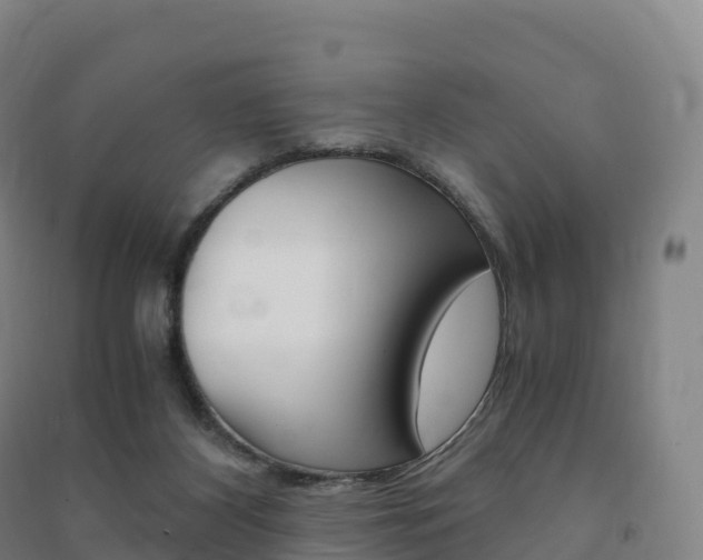 X0000091480116200708161156
