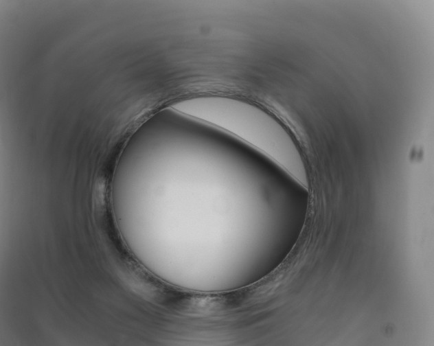 X0000091480117200708161156
