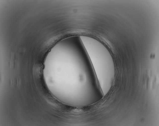 X0000091480119200708161156