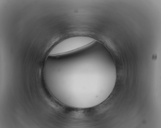 X0000091480120200708161156