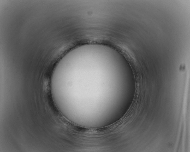X0000091480123200708161156