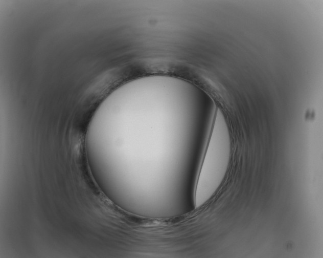 X0000091480125200708161156