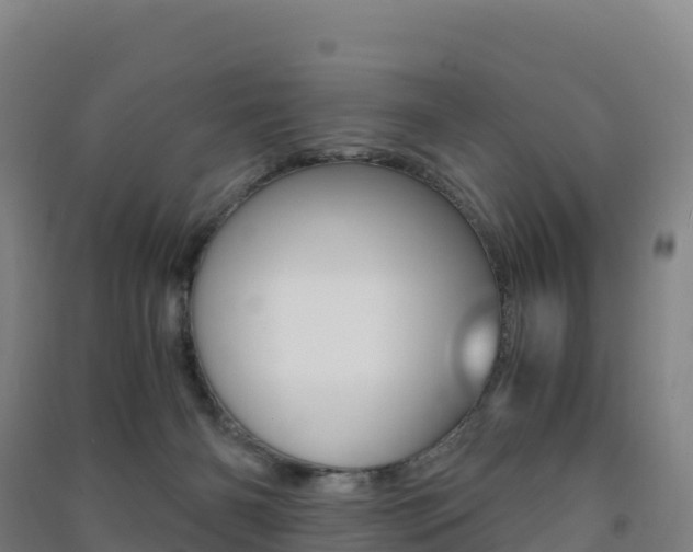 X0000091480126200708161156