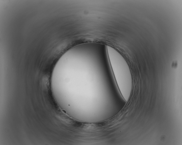 X0000091480127200708161156