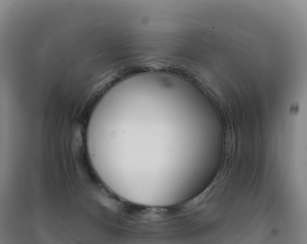 X0000091480128200708161156