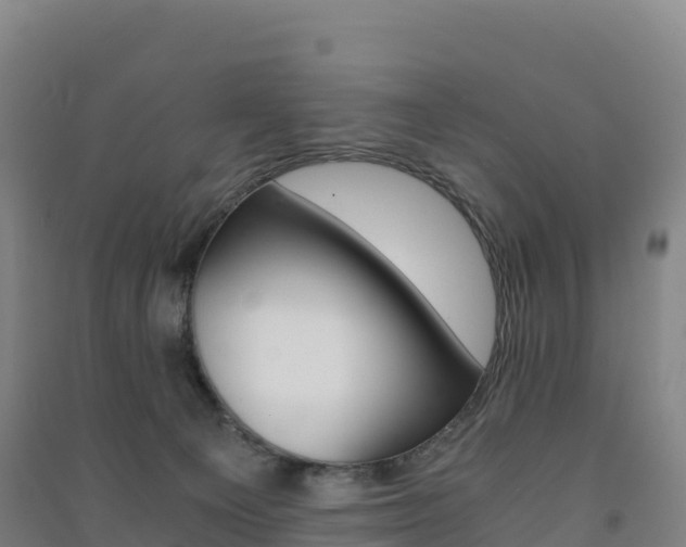 X0000091480129200708161156