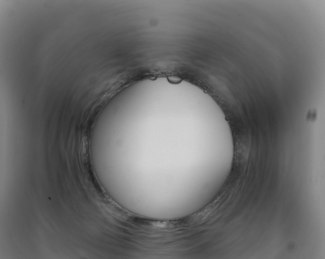 X0000091480130200708161156
