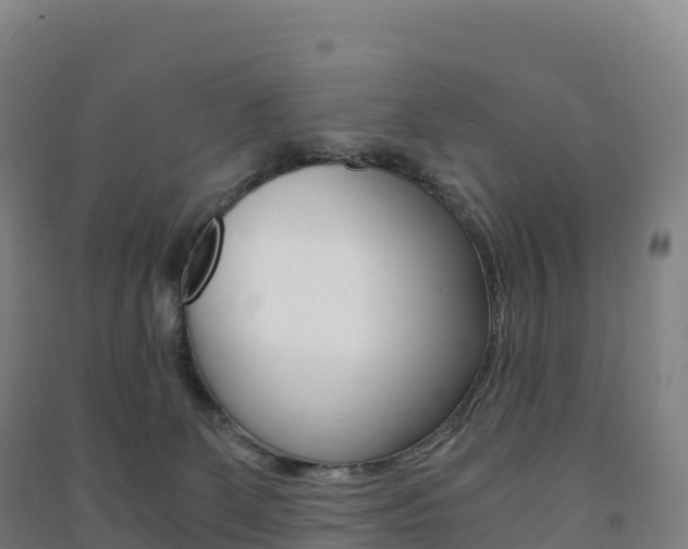 X0000091480131200708161156