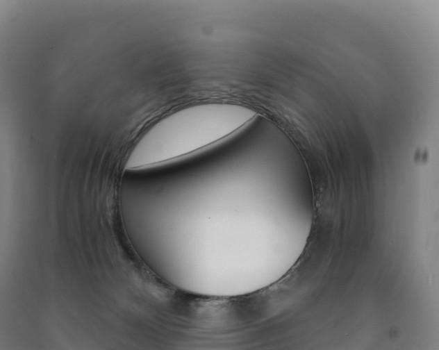 X0000091480132200708161156