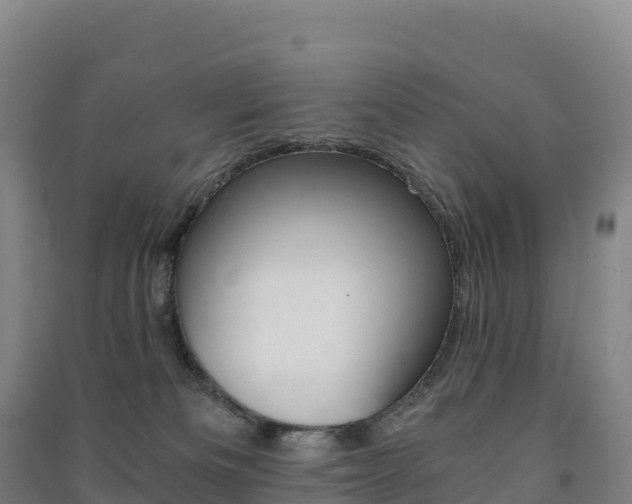 X0000091480133200708161156