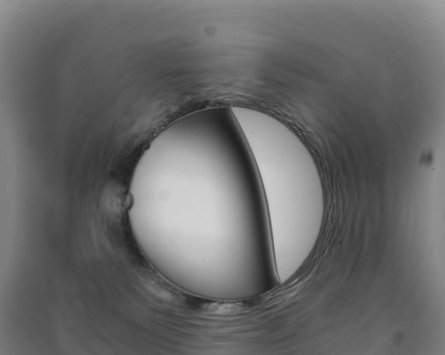 X0000091480135200708161156