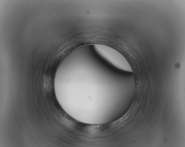 X0000091480136200708161156