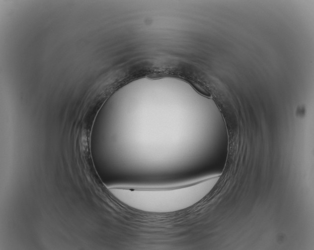 X0000091480137200708161156