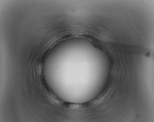 X0000091480139200708161156