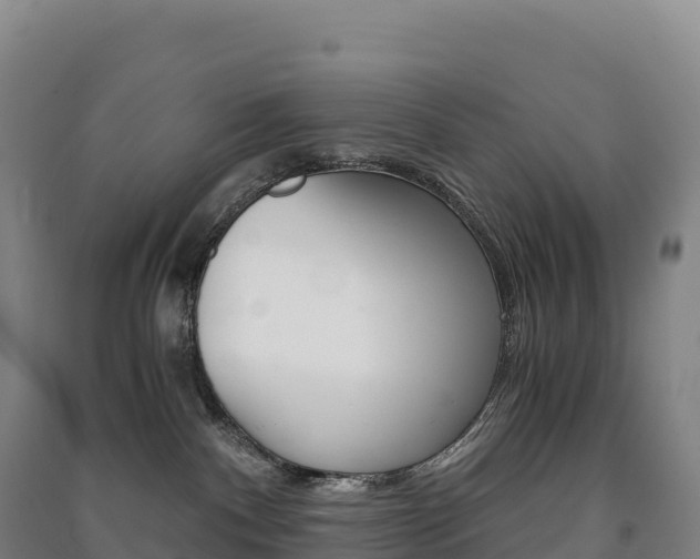 X0000091480140200708161156
