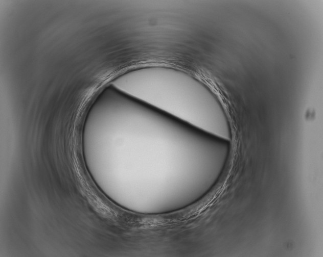 X0000091480145200708161155