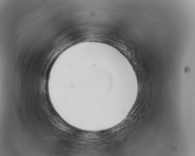 X0000091480146200708161155