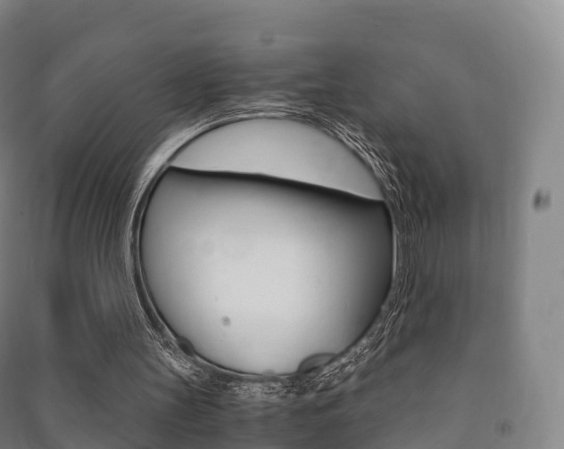 X0000091480147200708161155
