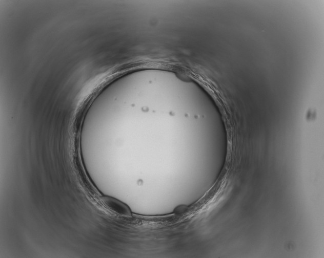 X0000091480149200708161155