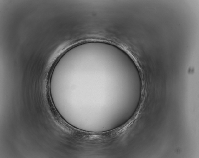 X0000091480151200708161155