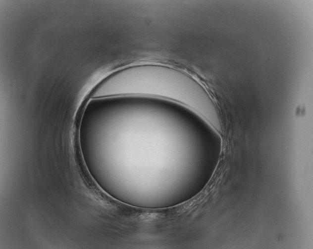 X0000091480152200708161155