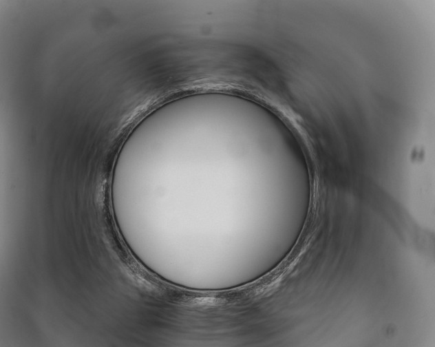 X0000091480153200708161155