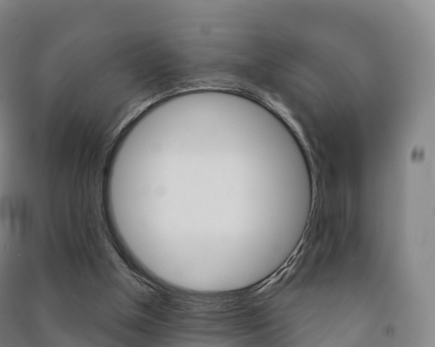 X0000091480154200708161155