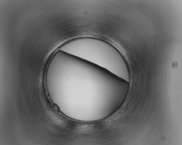X0000091480155200708161155
