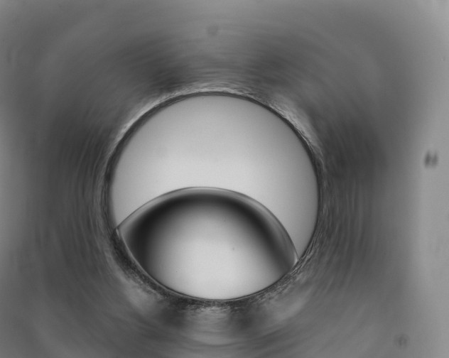 X0000091480156200708161155