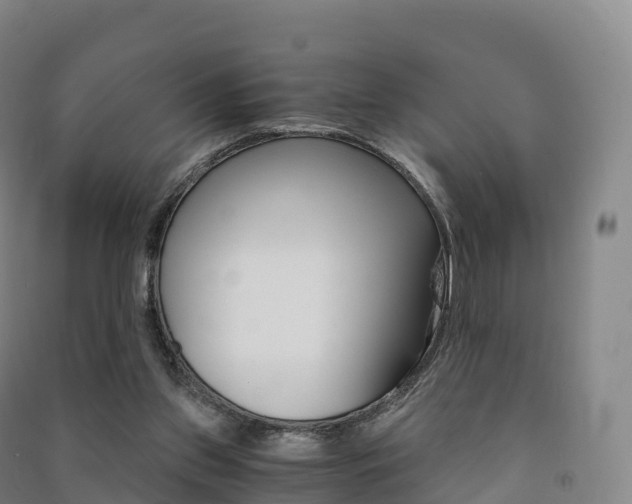 X0000091480157200708161155