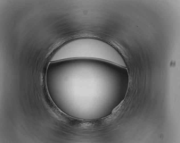 X0000091480158200708161155