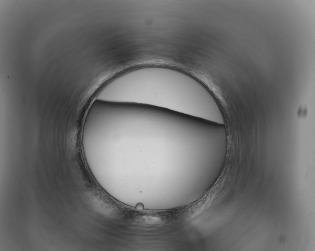 X0000091480159200708161155