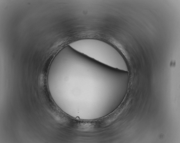 X0000091480161200708161155
