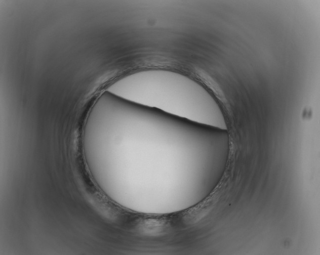 X0000091480163200708161155