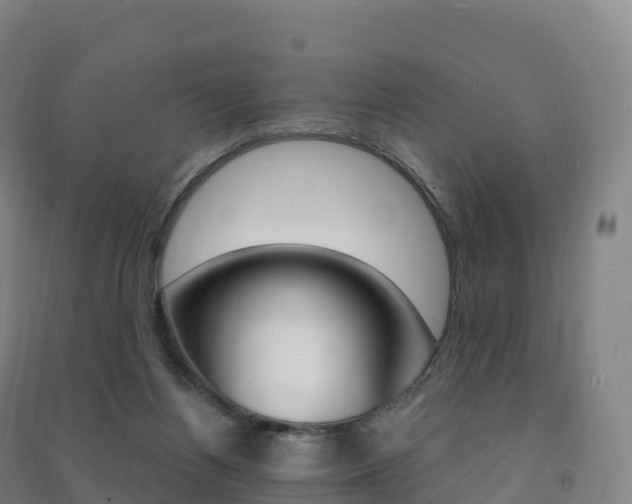 X0000091480164200708161155