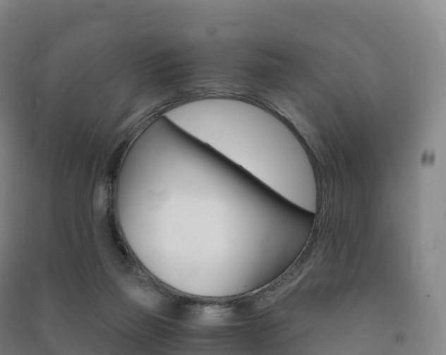 X0000091480165200708161155
