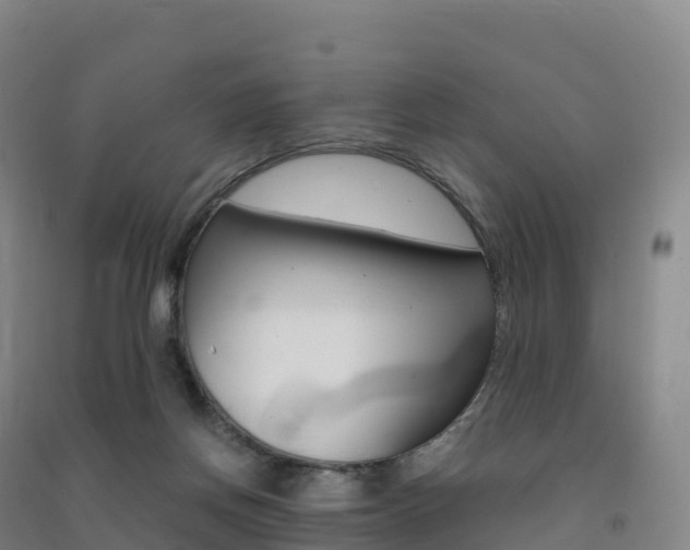 X0000091480166200708161155