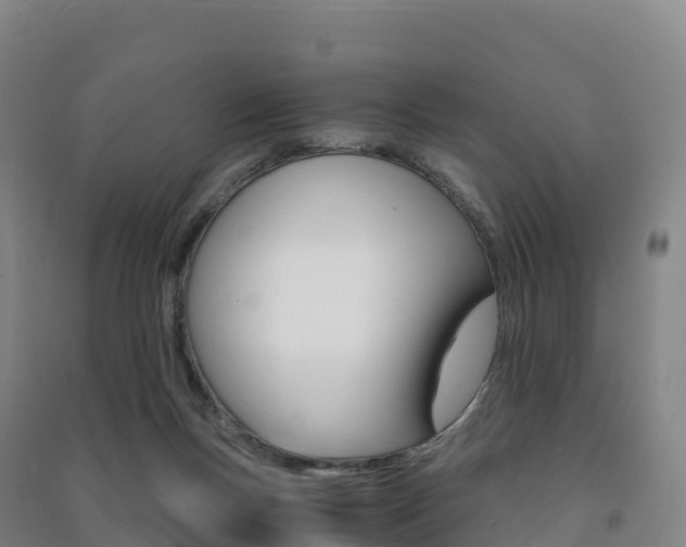 X0000091480167200708161155