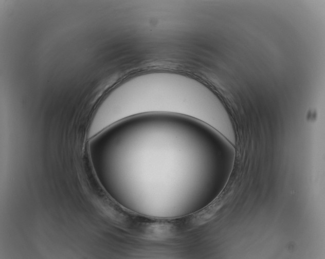 X0000091480168200708161155